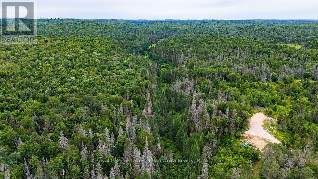 286 Halls Road E, Magnetawan, ON
