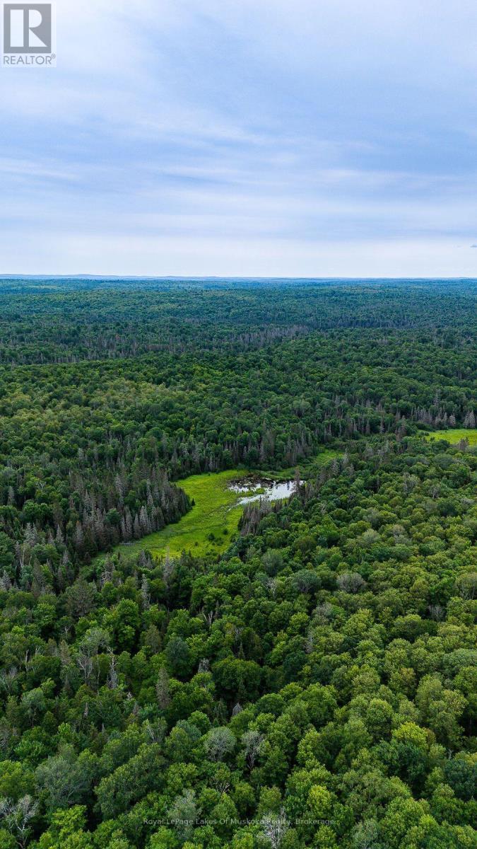 286 Halls Road E, Magnetawan, ON