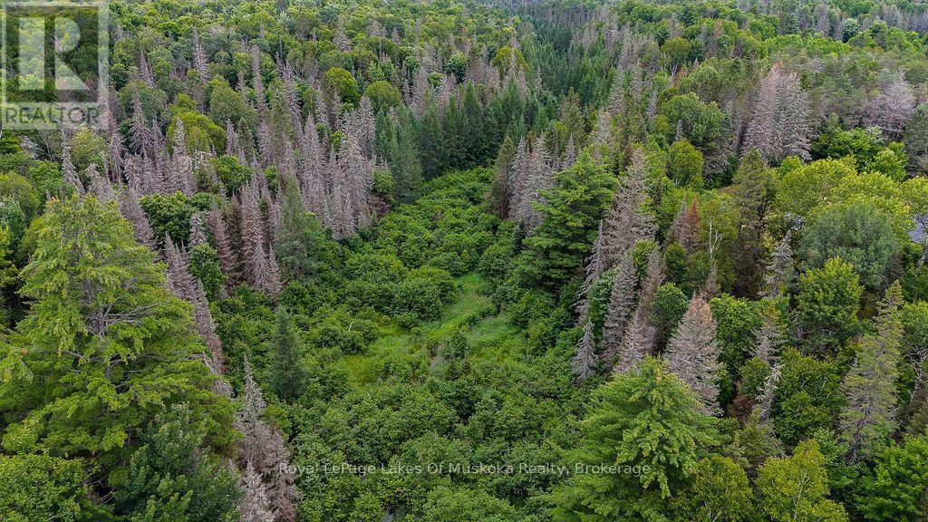 286 Halls Road E, Magnetawan, ON