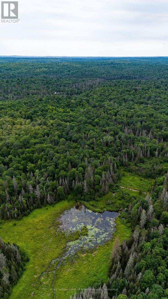 286 Halls Road E, Magnetawan, ON