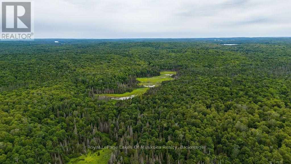 286 Halls Road E, Magnetawan, ON