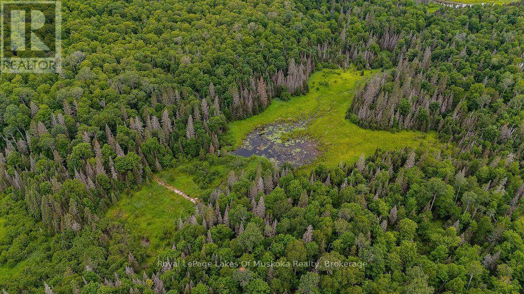 286 Halls Road E, Magnetawan, ON
