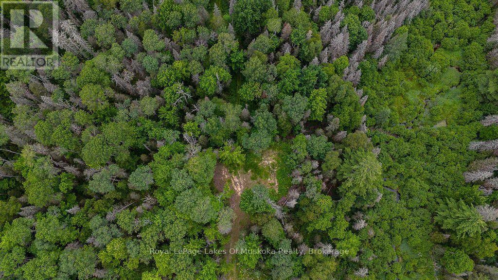 286 Halls Road E, Magnetawan, ON