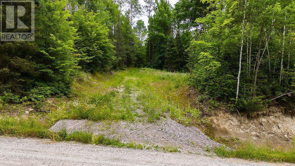 286 Halls Road E, Magnetawan, ON