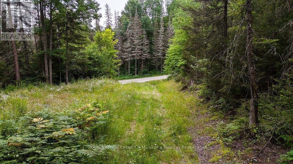 286 Halls Road E, Magnetawan, ON