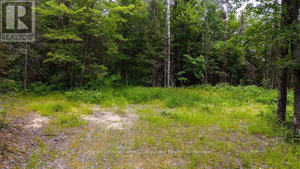 Potential future building site - 286 Halls Road E, Magnetawan, ON
