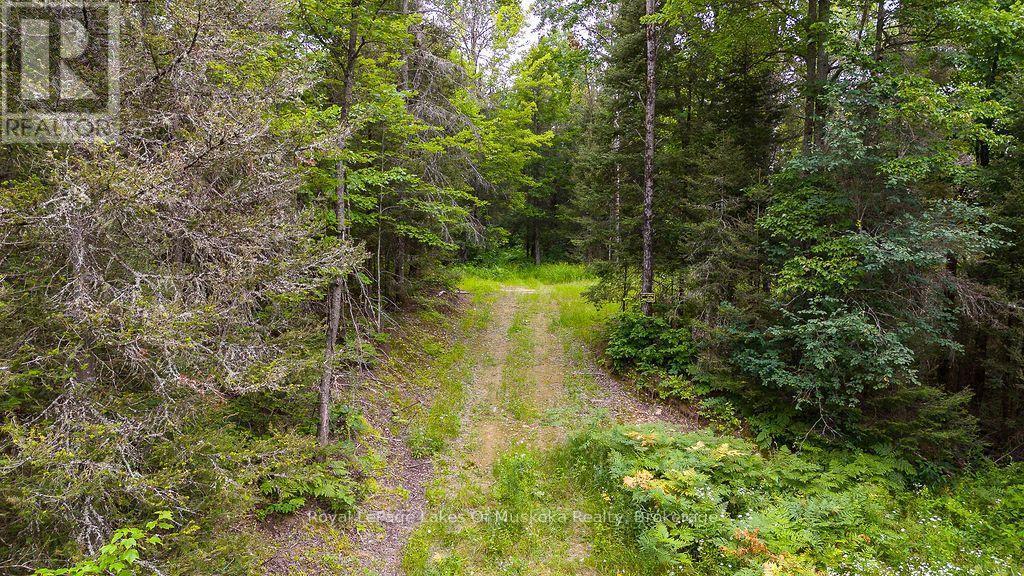 286 Halls Road E, Magnetawan, ON