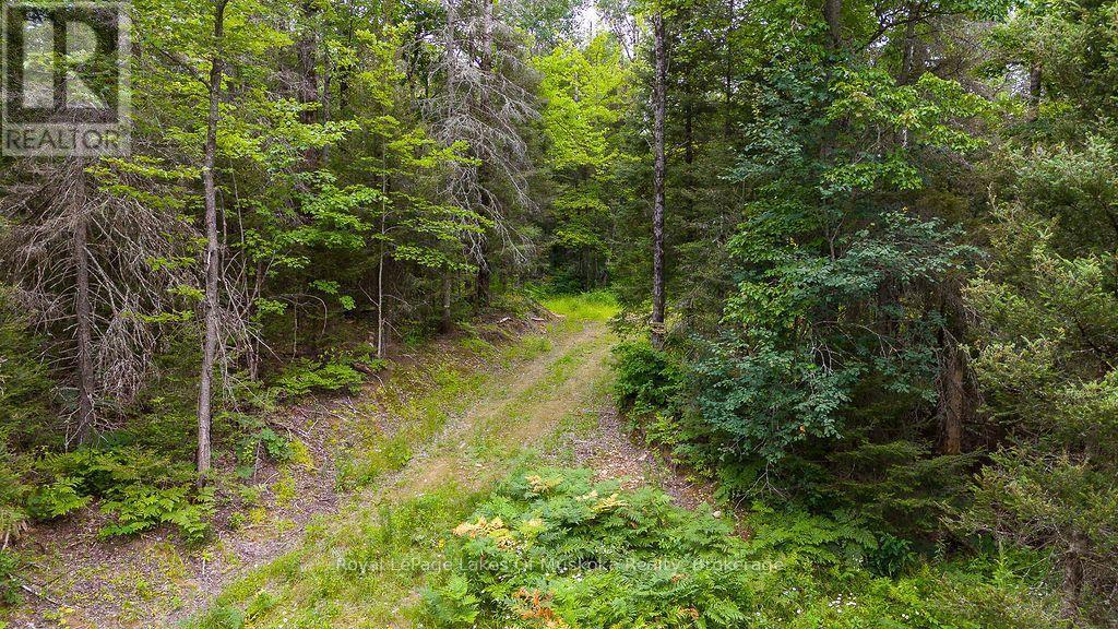 286 Halls Road E, Magnetawan, ON