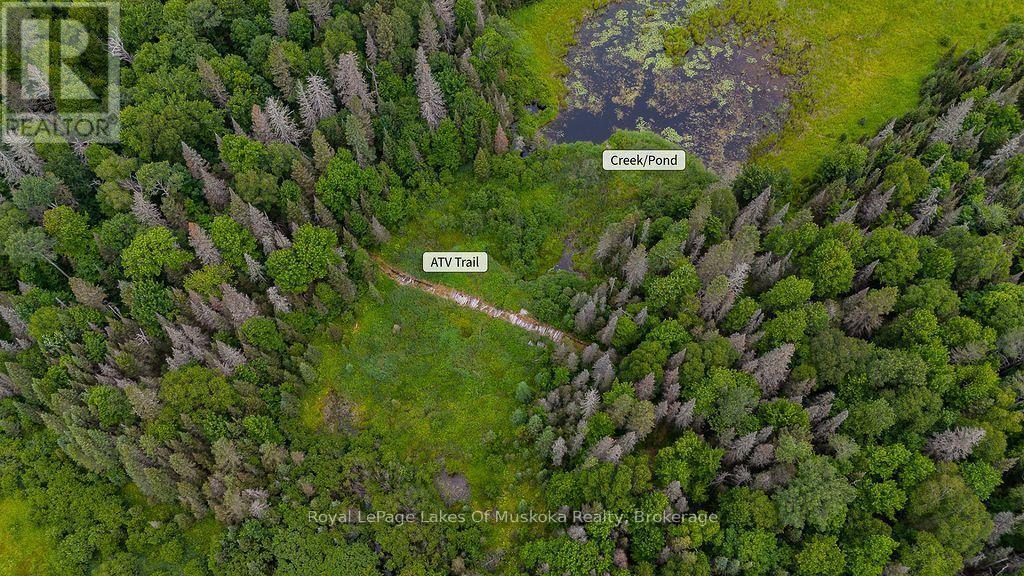 Trail system for ATVs, hiking, snowshoeing etc - 286 Halls Road E, Magnetawan, ON