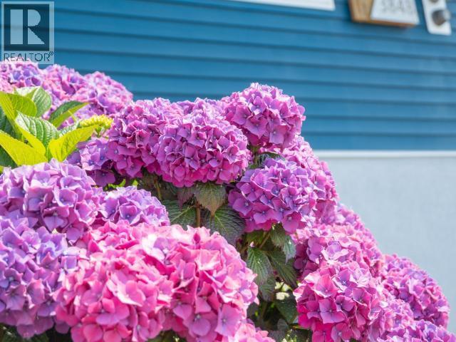 3848 Gordon Ave, Powell River, BC - Outdoor
