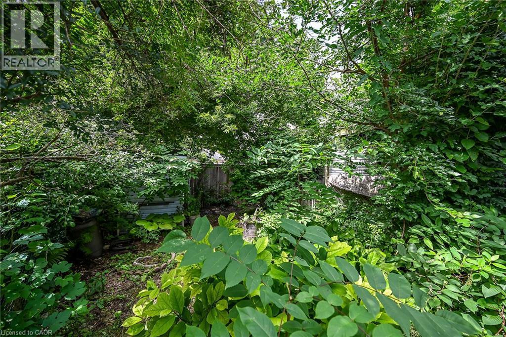 232 Cedar Street, Simcoe, ON - Outdoor
