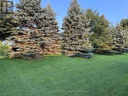 Beautifully Landscaped Rear Yard - Photo 2 - 