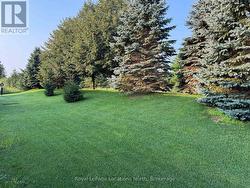 Beautifully Landscaped Rear Yard - Photo 1 - 