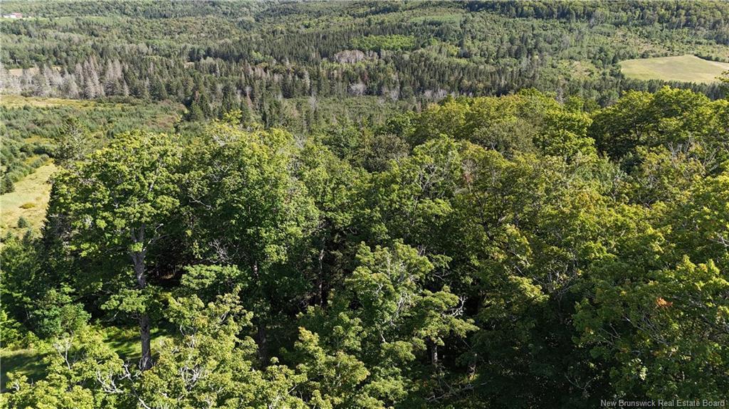 Sugar Camp Hillside, Elgin, NB