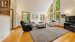 Windows, Windows & More Windows in Living Room - 