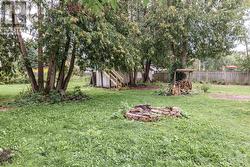 Backyard - 