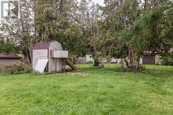 Backyard - 