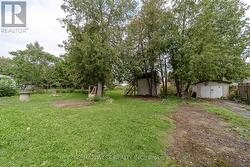 Backyard - 