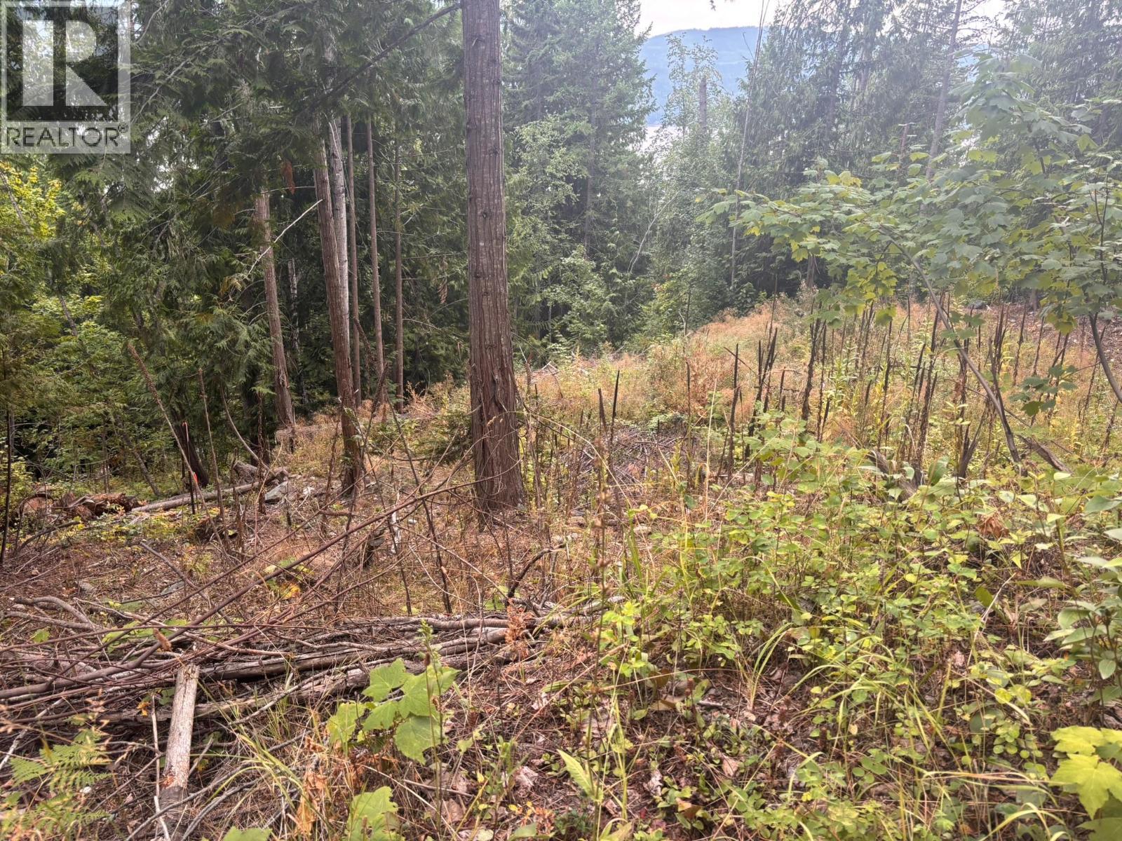 Lot 151 Columbia Drive, Anglemont, BC