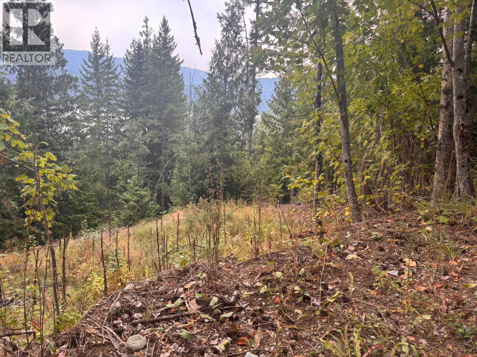 Lot 151 Columbia Drive, Anglemont, BC