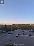Sunset over the park - 