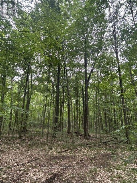 0 Armstrong Road, Merrickville-Wolford, ON