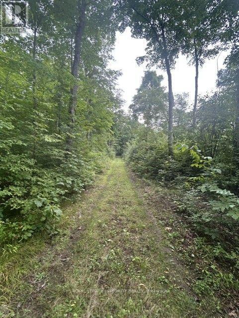 Road - 0 Armstrong Road, Merrickville-Wolford, ON