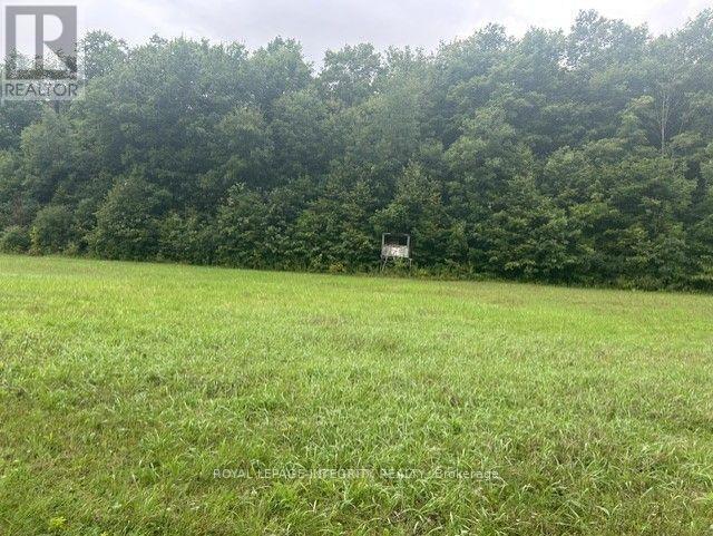 0 Armstrong Road, Merrickville-Wolford, ON