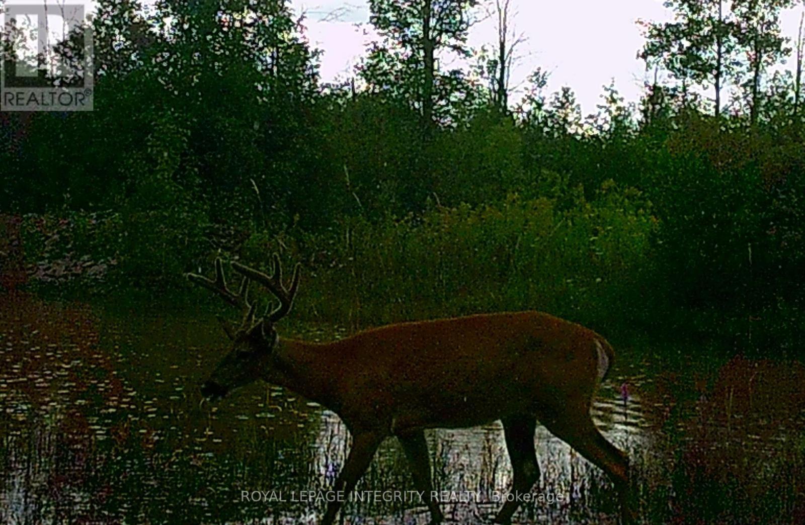 0 Armstrong Road, Merrickville-Wolford, ON