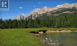 4227-4233 Beaverfoot Forest Service Road Golden, BC V0A 1H0