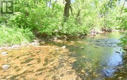 Creek Behind Valley Drive House After 252 Feet - 