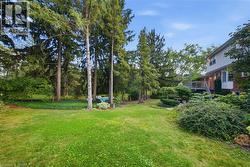 Expansive lawn surrounded by mature evergreen trees and established landscaping - 