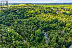 Expansive natural landscape featuring lush greenery and a winding natural waterway - 