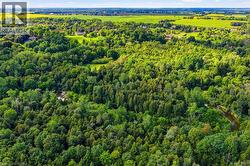 Expansive natural landscape featuring lush green foliage - 