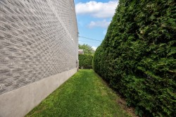 Courtyard - 