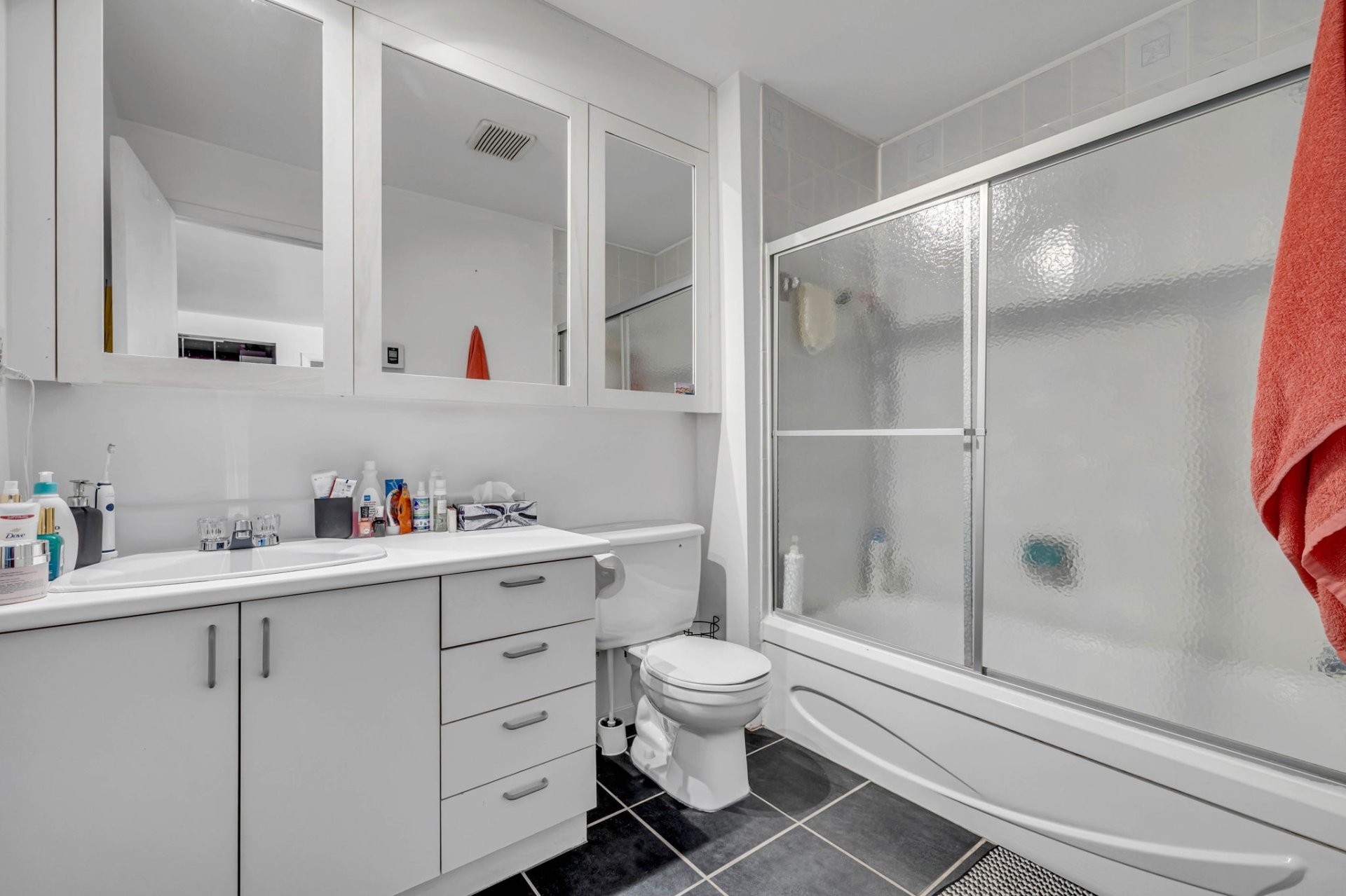 Salle de bains - 50 - 62 6E Avenue, Québec (La Cité-Limoilou), QC