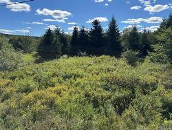 LOT Route 111 Hammondvale, NB E4E 3T3