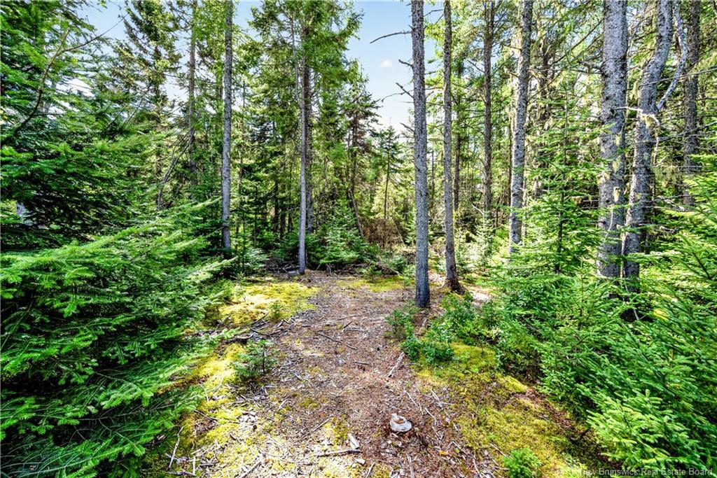 175 Daigle Rd, Pointe-Sapin, NB
