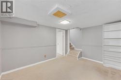 Carpeted flooring, built-in shelving, painted walls with chair rail molding, and a square ceiling light fixture - 