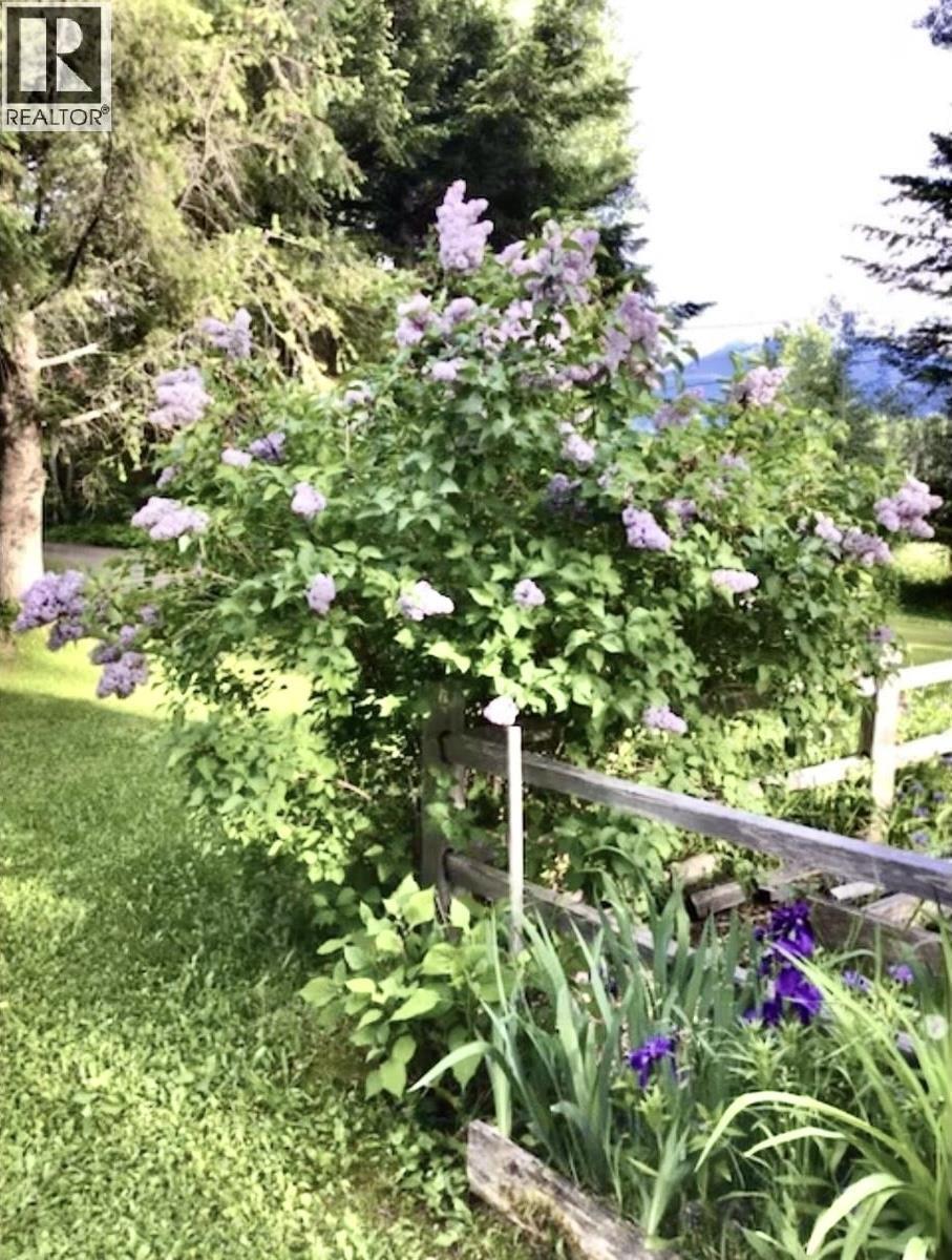 310 Mountain View Road, Mcbride, BC