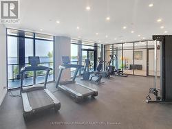 private owners' gym - 