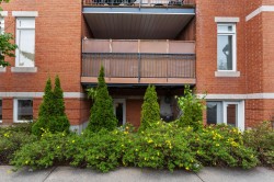 Patio -