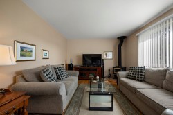 Salon - 