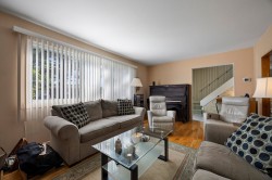 Salon - 