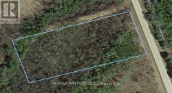 11 TIMBERLAND DRIVE Trent Hills, ON K0L 1Z0