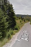36-50 Alley Road Bay Bulls, NL A0A 1C4