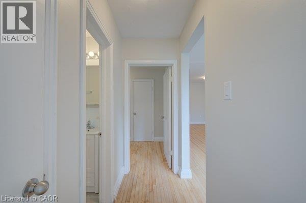 Hallway featuring wood-finish flooring, white walls, and white trim - 141 Chapel Street, Kitchener, ON