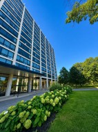 308-201 Rue Corot Montréal (Verdun/Île-Des-Soeurs), QC H3E 1C4