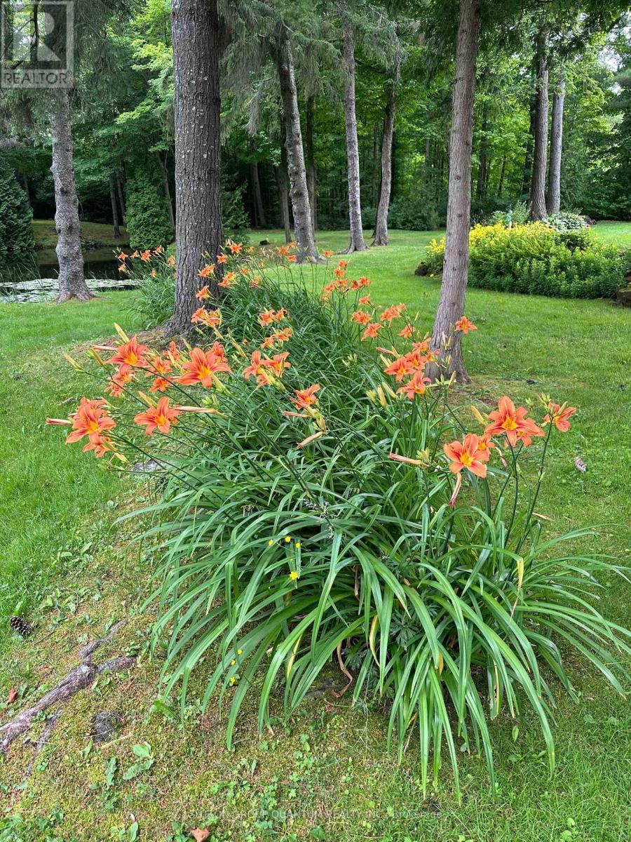 506 11Th Concession Road E, Hamilton, ON