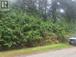 9091 STAGER ROAD Powell River, BC V8A 0H6